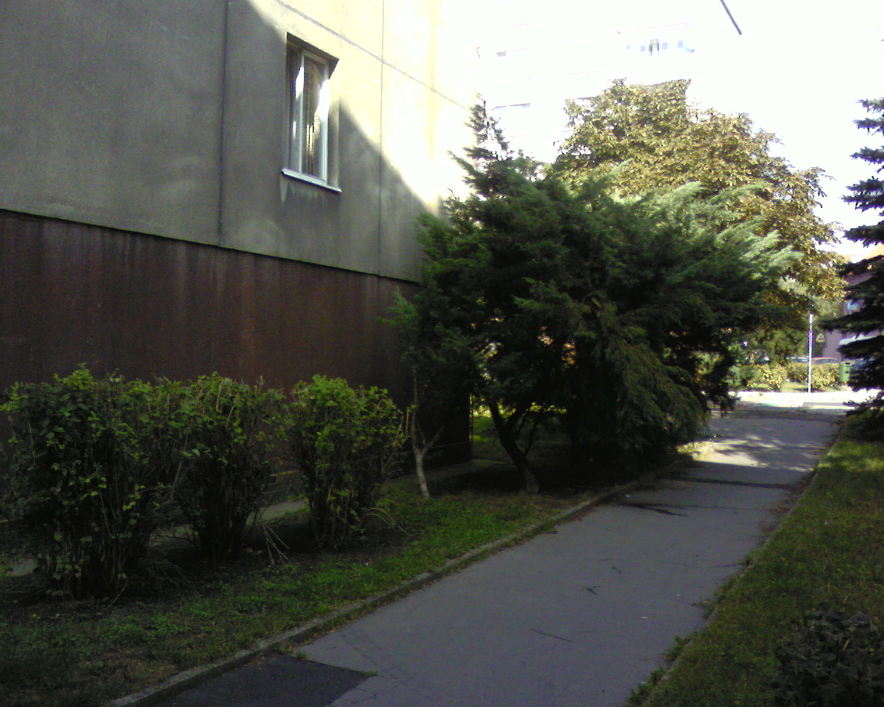 Photo-0017.jpg