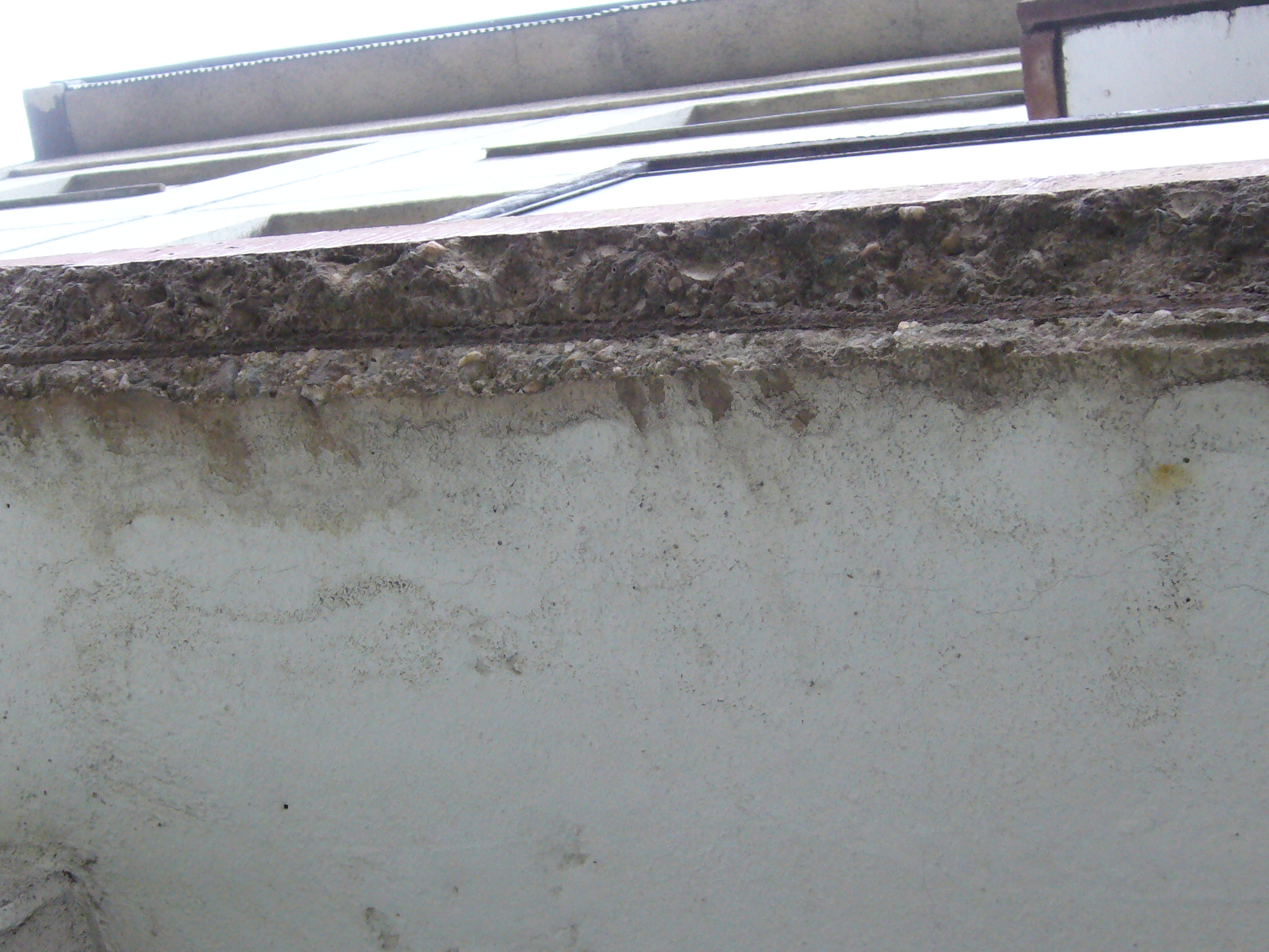 P1000098.JPG
